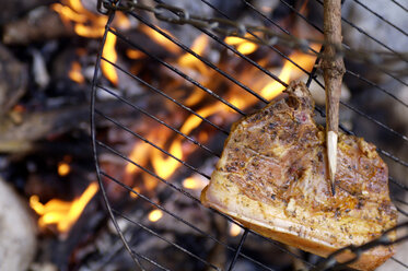 Fleisch auf dem Grill am Lagerfeuer - HHF00910