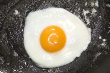 Fried egg, close-up, elevated view - THF00380