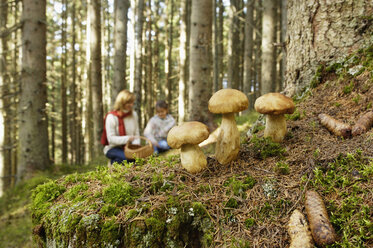 Mutter und Tochter suchen Pilze im Wald - HHF00878