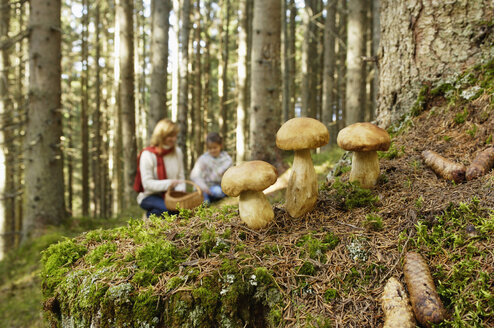 Mother and daughter searching mushrooms in forest - HHF00878