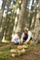 Mutter und Tochter suchen Pilze im Wald - HHF00877