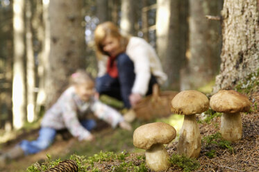 Mother and daughter searching mushrooms in forest - HHF00876