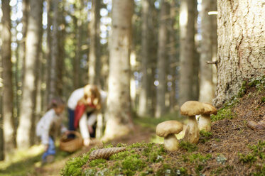 Mutter und Tochter suchen Pilze im Wald - HHF00875