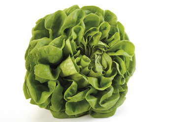 Lollo bianco lettuce, close-up - 05557CS-U