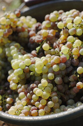White grapes, close-up - WESTF03808