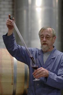 Mann testet Wein aus einem Faß - WESTF03781