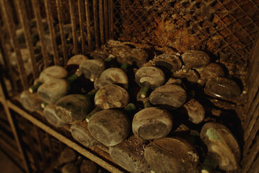 Alte Weinflaschen auf einem Regal im Keller - WESTF03764