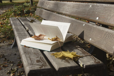 Book on bench - LDF00410