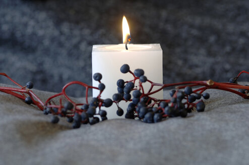 Burning candle and twig with elderberries - ASF02932