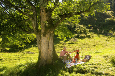 Pärchen beim Picknick auf einer Wiese, Mann füttert Frau - HHF01018