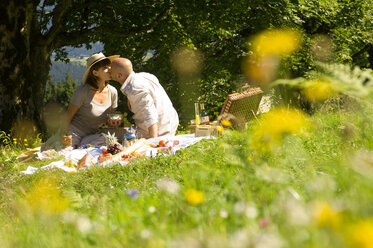 Pärchen beim Picknick auf einer Wiese, küssend - HHF01012