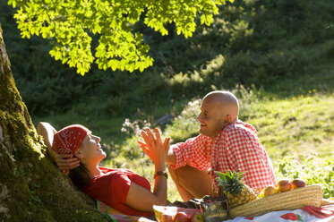 Ehepaar beim Picknick unter einem Baum - HHF00999