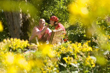 Ehepaar beim Picknick unter einem Baum, Mann füttert Frau - HHF00996