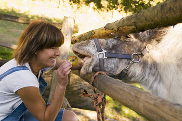 Frau füttert Pony - HHF01208