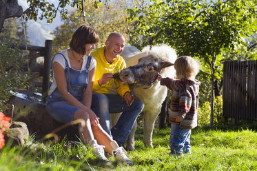 Eltern mit Kind sitzen im Garten und spielen mit Pony - HHF01199