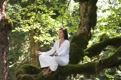 Young woman meditating on tree branch, side view - HHF01151