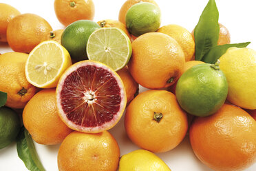 Various citrus fruits, close-up - 05682CS-U
