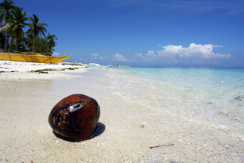 Philippinen, Visayas, Insel Malapascua, Kokosnuss am Strand - GNF00853