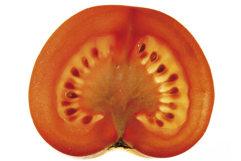 Halbe Tomate, Blick von oben - 05901CS-U