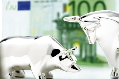 Bull and bear figurine, euro banknote in background, close-up - 06026CS-U