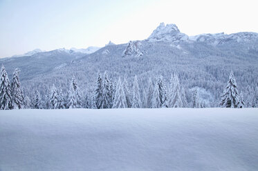 Italy, Dolomite alps - MRF00807