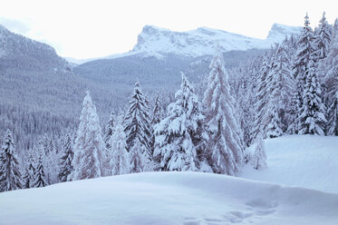 Italien, Dolomitenalpen - MRF00806