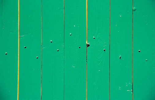 Limber wall in green - PMF00429