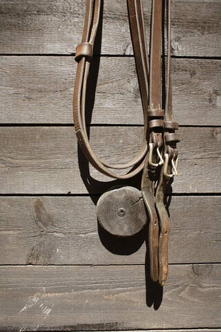 Bridle on house wall stock photo