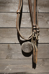 Bridle on house wall - PM00491