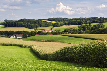 Gerany, Oberbayern, Felder in hügeliger Landschaft - MBF00668