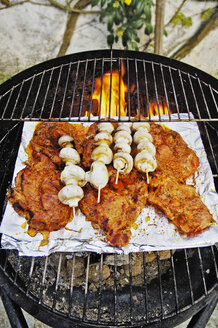 Fleisch und weiße Champignons auf einem Grill - MBF00666