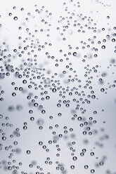 Bubbles in water, close-up - THF00463