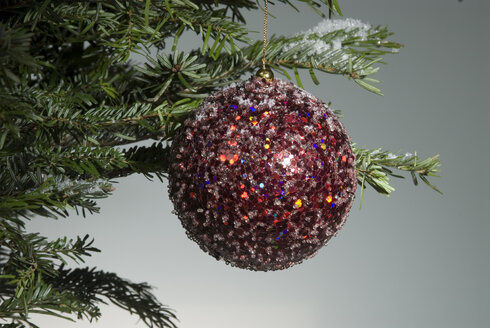 Weihnachtskugel am Weihnachtsbaum, Nahaufnahme - NHF00344