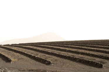 Spanien, Lanzarote, Feld mit Steinmauern - ABF00146