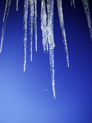 Eiszapfen gegen klaren Himmel - WWF00260