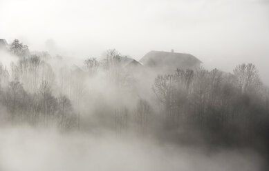 Bauernhäuser im Nebel - WWF00249