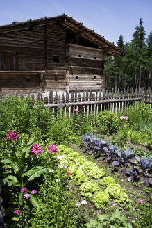 Österreich, Bauernhaus mit Gemüsegarten - WWF00246