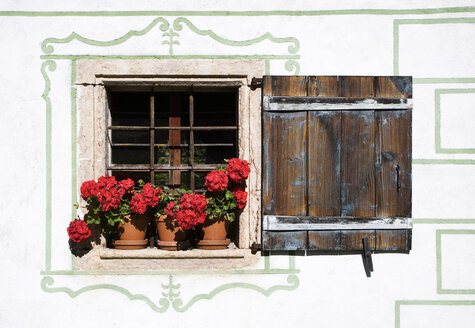 Österreich, Fenster mit rot blühenden Blumen - WWF00231