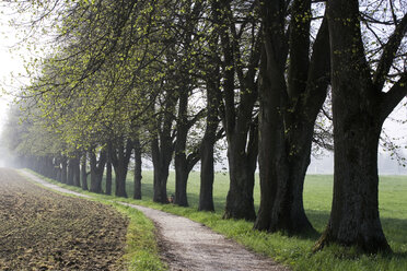 Alley in country side - WWF00228