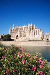 Spanien, Mallorca, La Palma, Kathedrale - WWF00219