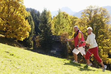 Älteres Paar beim Nordic Walking, lächelnd, Seitenansicht, Porträt - WESTF04295