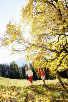 Senior couple Nordic walking outdoors - WESTF04285