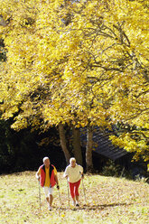 Älteres Paar beim Nordic Walking im Freien - WESTF04281