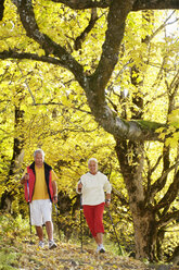 Senior couple Nordic walking outdoors - WESTF04280