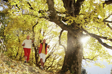 Senior couple Nordic walking, low angle view - WESTF04277