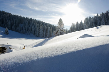 Winter landscape in mountains - NHF00398