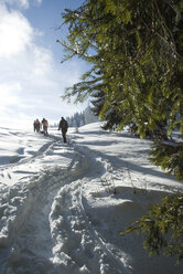 Deutschland, Bayern, Menschen beim Skilanglauf in Winterlandschaft, Rückansicht - NHF00393