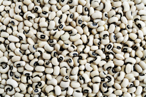 Dried black eye beans, close-up - 06327CS-U