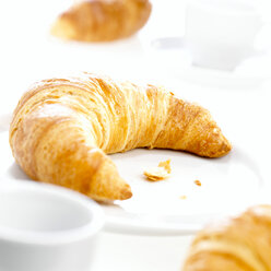 Croissant - CHKF00282