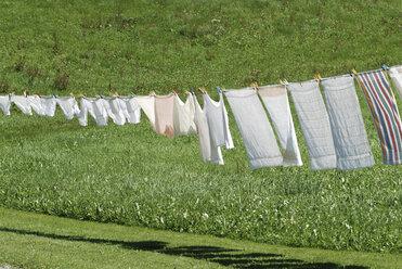 Drying laundry on clothesline - TCF00040